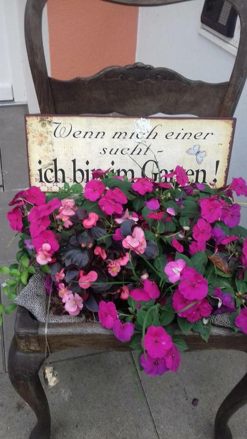 Fewo 1 Waren Mueritz - Haus Buchen Am Tiefwarensee - 1 Zi Exterior foto